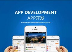 影响app软件开发质量和成本的因素有哪些?
