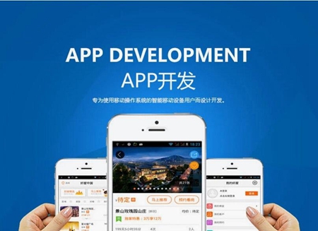 app软件开发